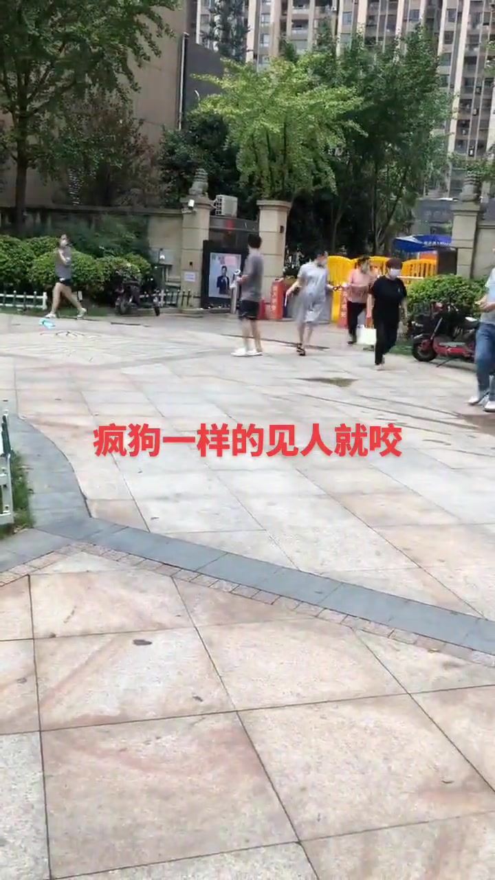 什么情况这人怎么爬在地上追人