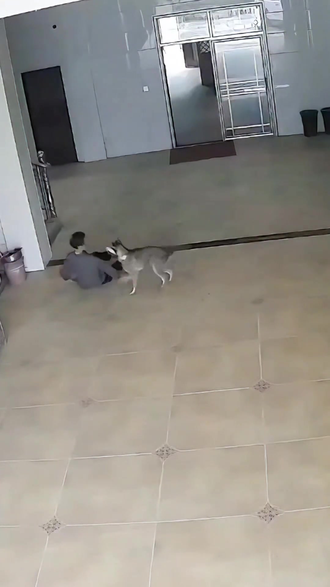 狂犬病恶犬直接跳起来撕咬老人！