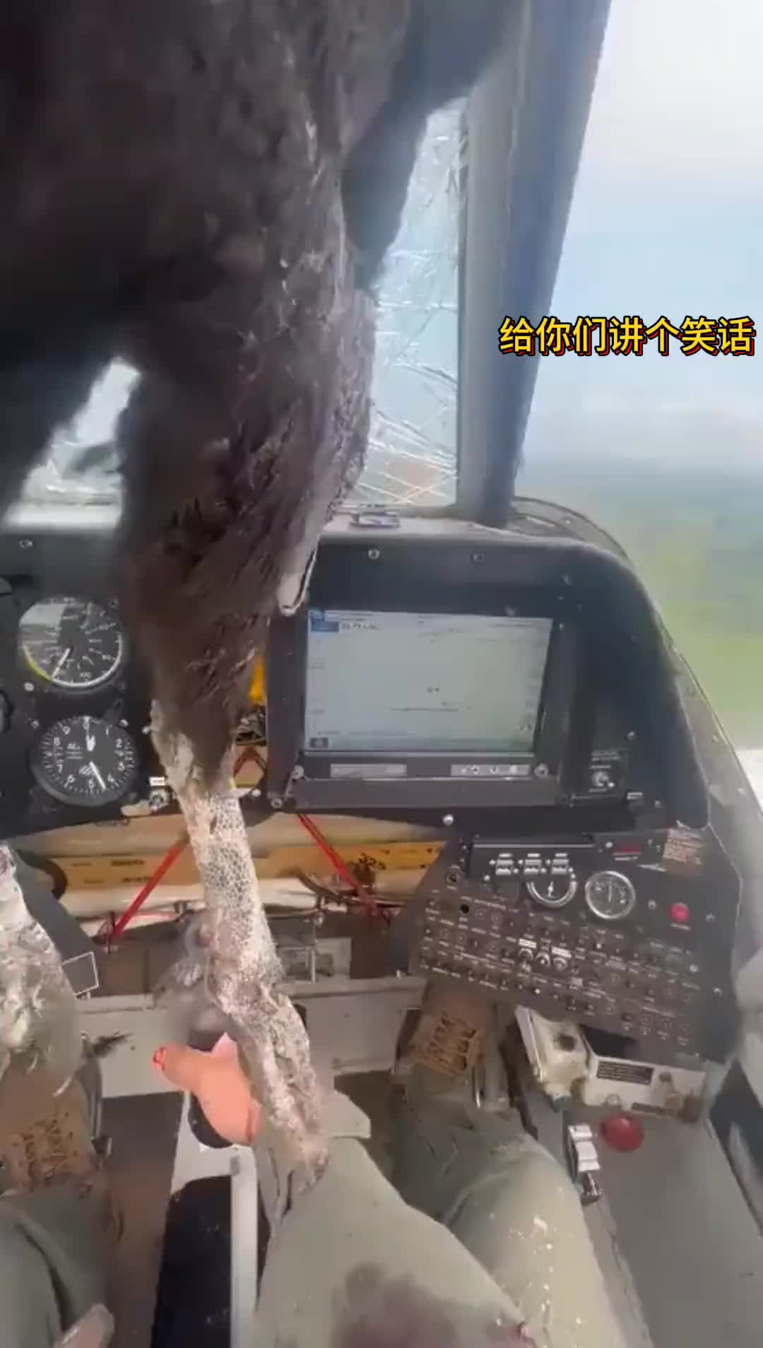 明显是追尾！飞机全责！