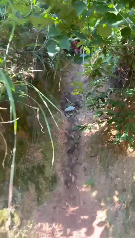 给孩子垫个麻袋之类的呀，看着屁屁疼