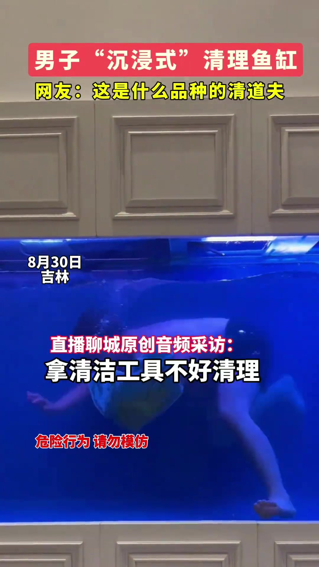 这是什么品种的清道夫男子“沉浸式”清理鱼缸