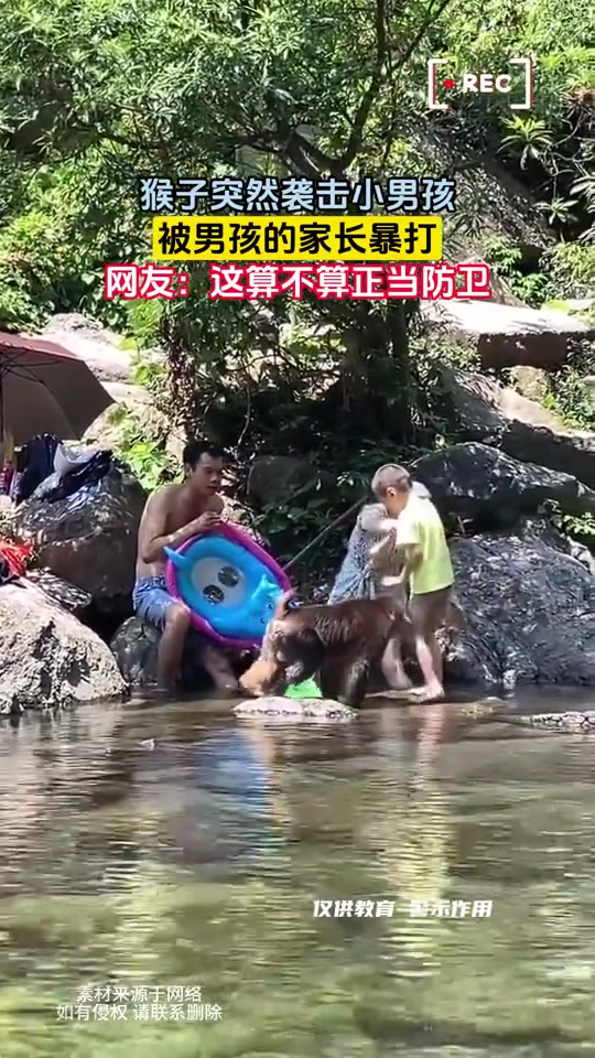 猴子突然袭击小男孩，被男孩的家长暴打！应该算紧急避险！