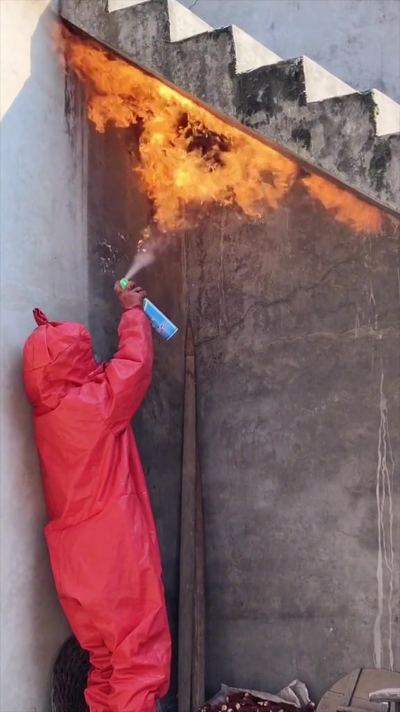 杀虫剂明火烧马蜂！物理化学双重攻击！