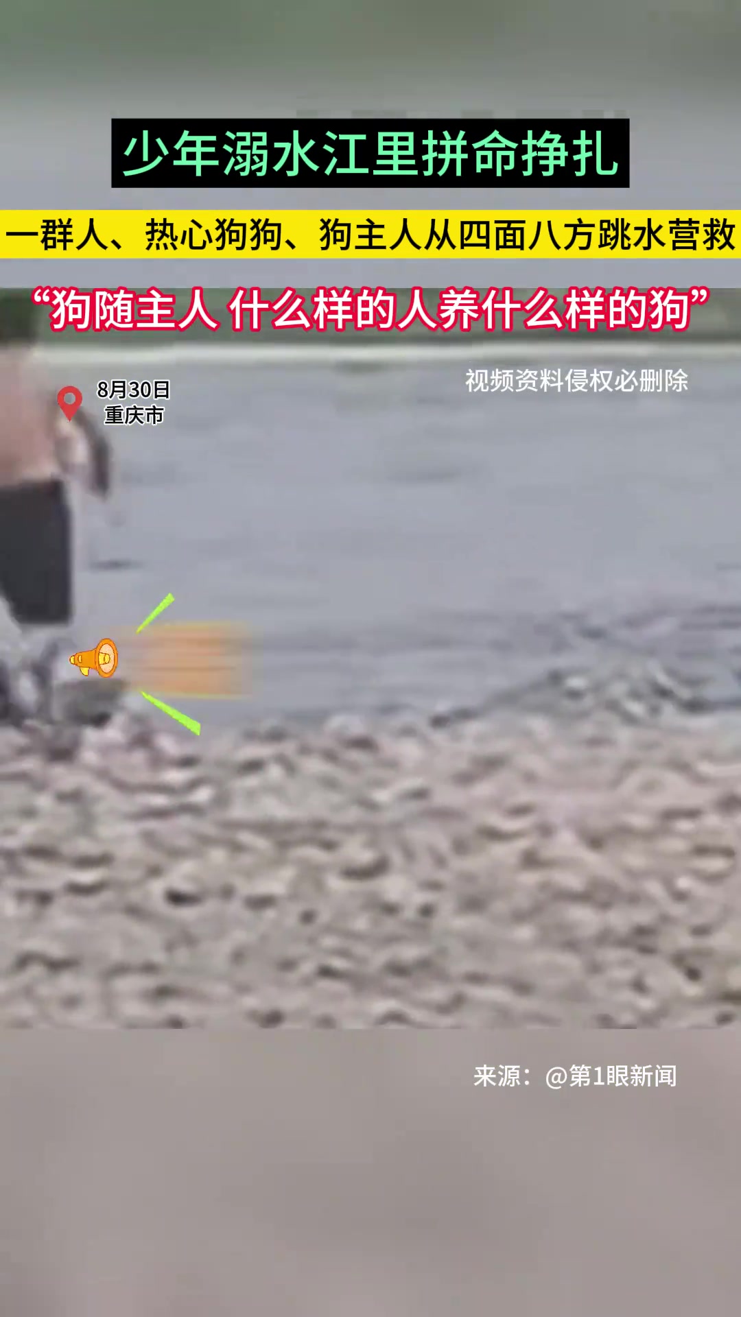 少年溺水拼命挣扎，一群人、热心狗狗、狗主人从四面八方跳水营救