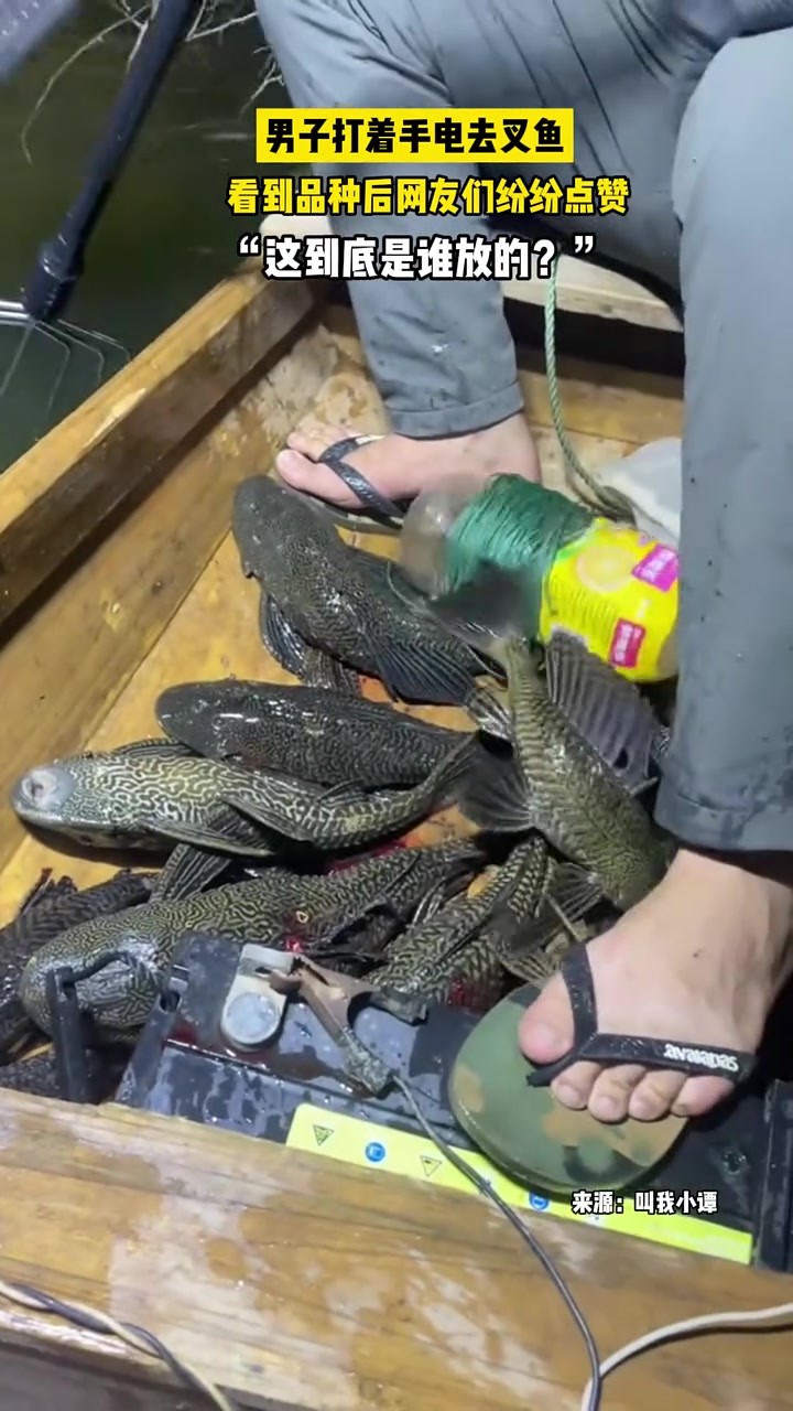 开始：这不好吧！结束：好好好！