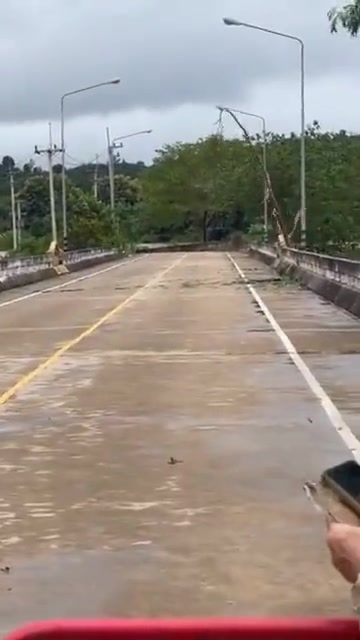 第一次见树和路灯干好起来了！