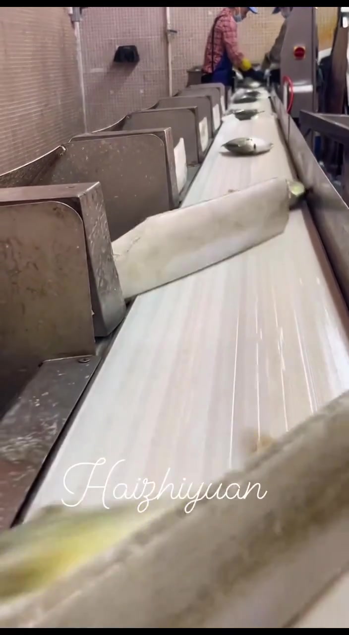 原来鱼大鱼小是这样分拣的什么原理