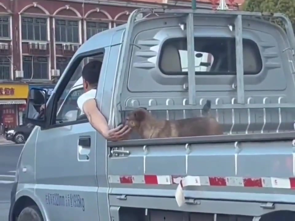 嫂子不像是本地人啊