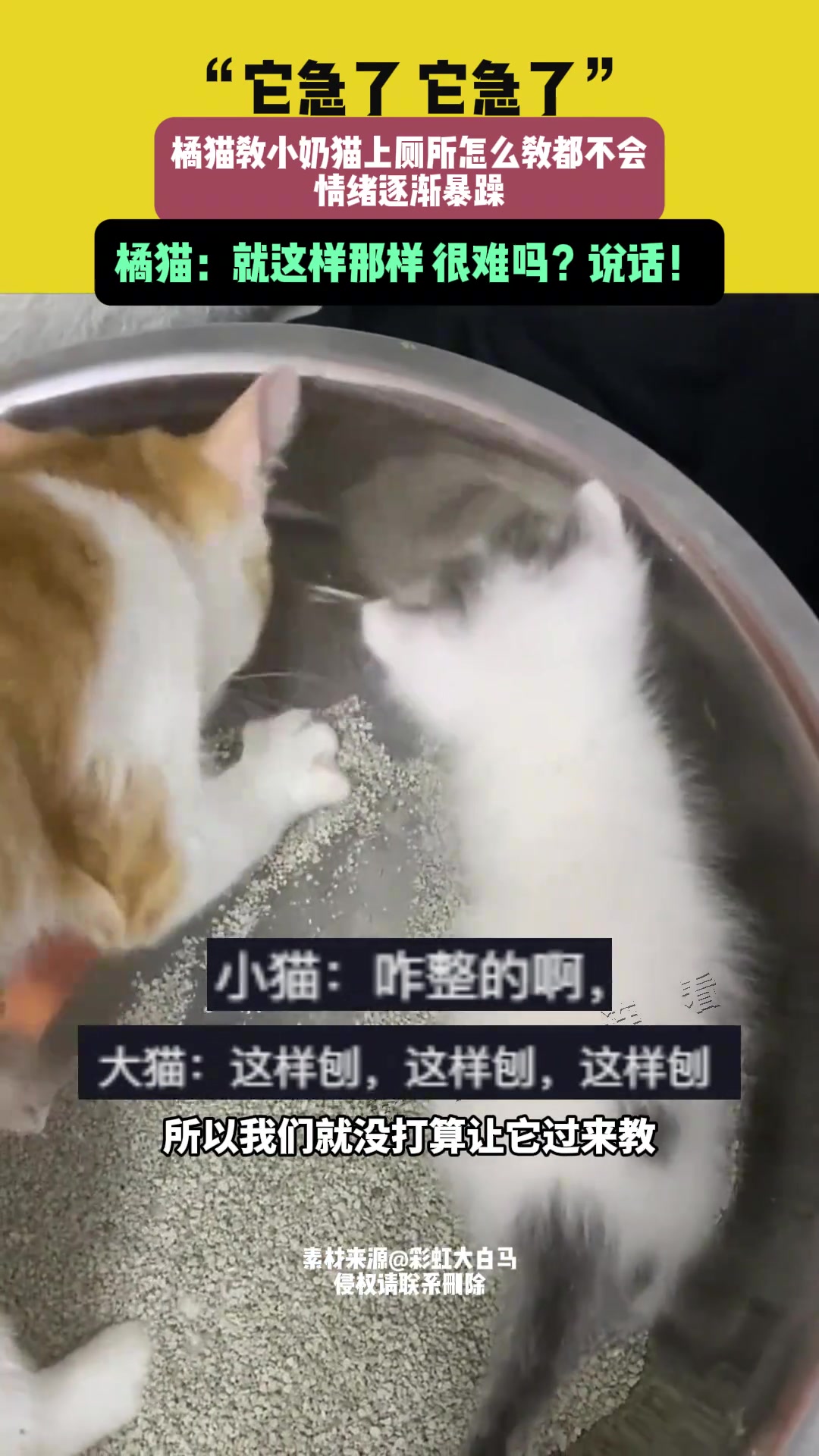 橘猫：就这样那样很难吗说话！