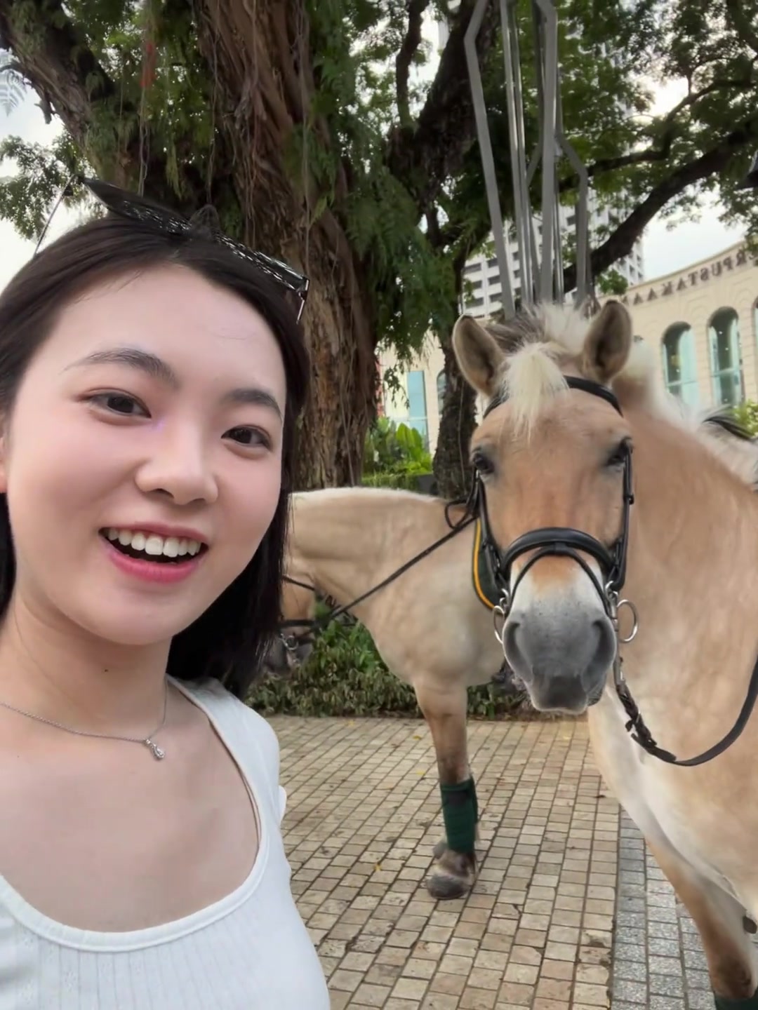 对驴的态度比对男朋友的好