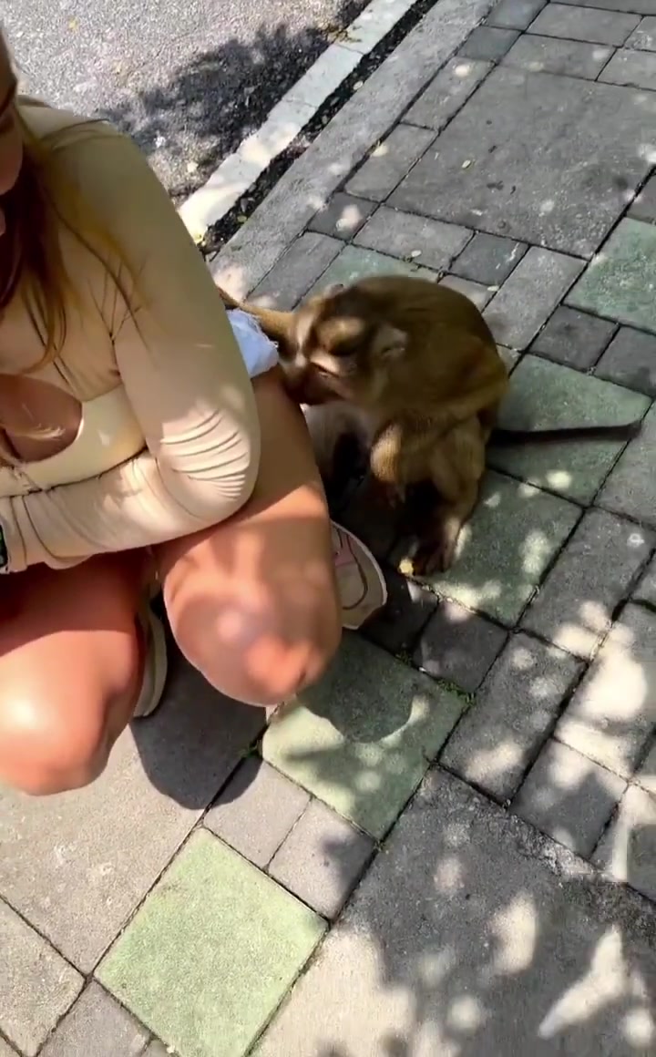 泼猴怎么一直在抚摸小姐姐大腿啊说实话有点嫉妒了