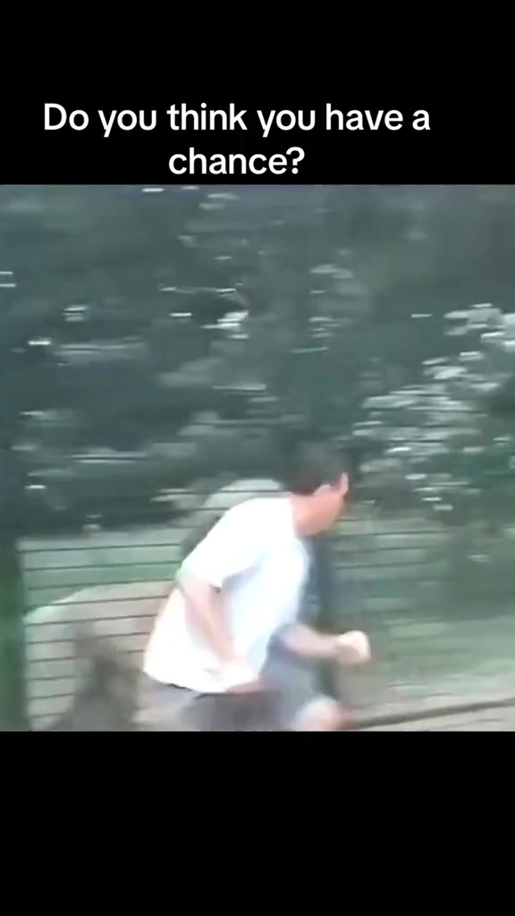 别看狮子体格大爆发转向能力超强