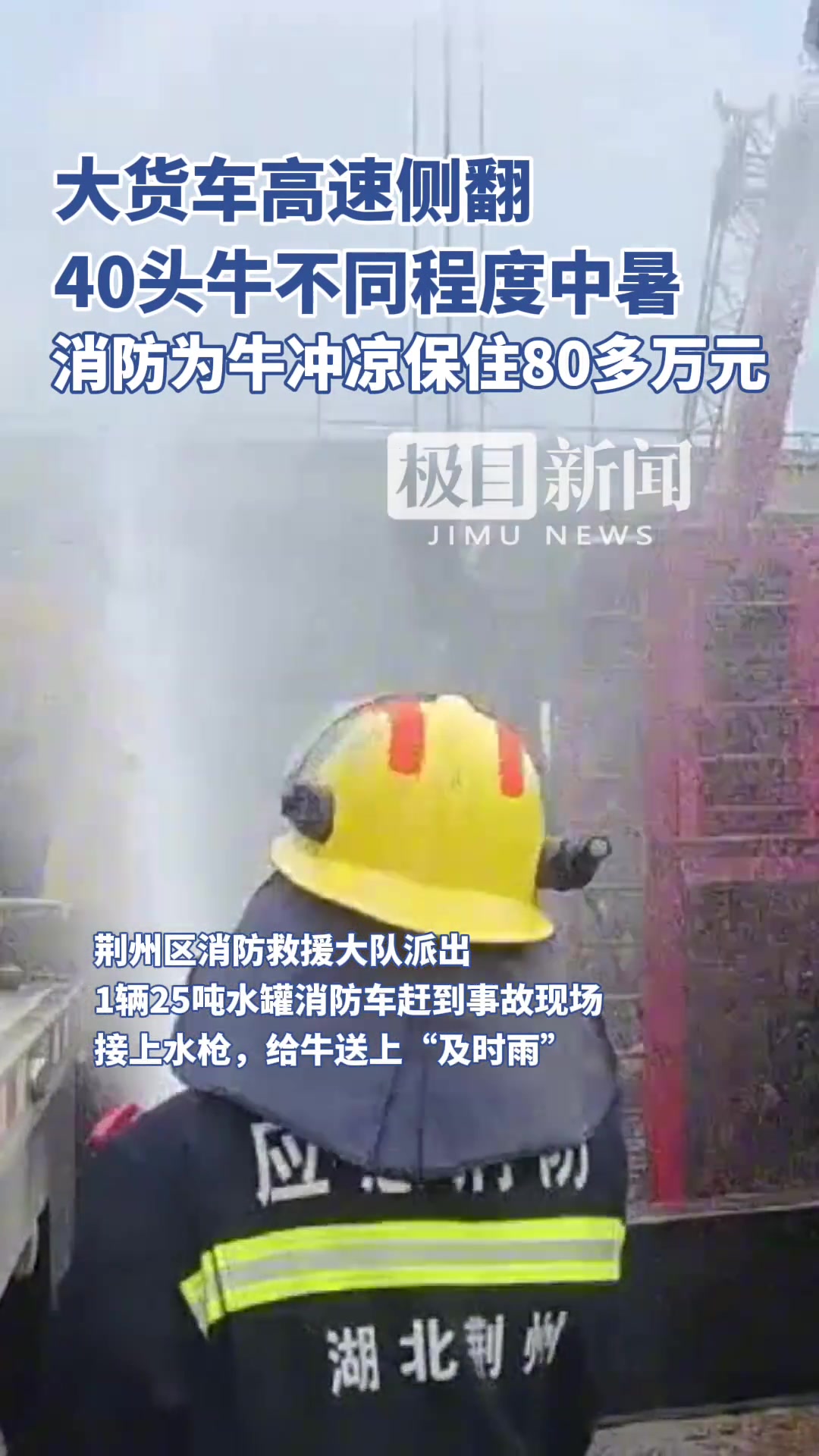 大货车高速侧翻，40头牛不同程度中暑，消防为牛冲凉保住80多万元