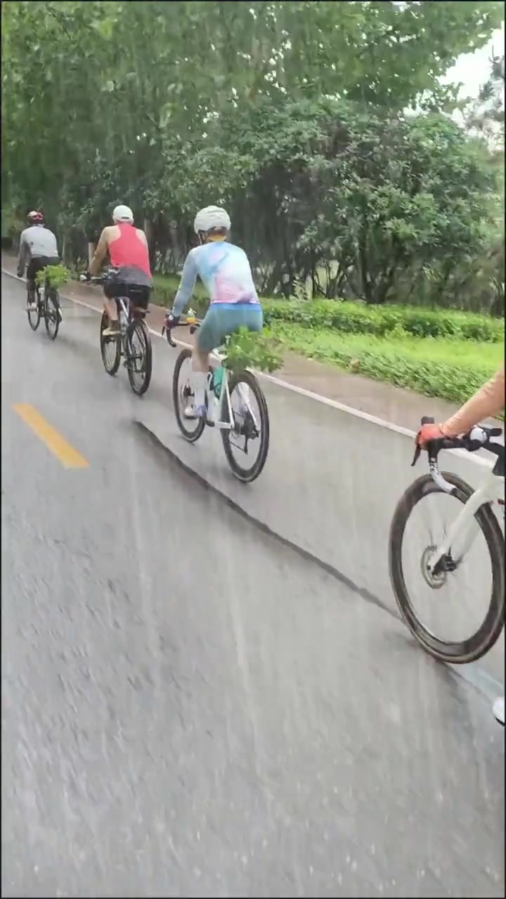 屁股上面挂树枝是啥意思呢