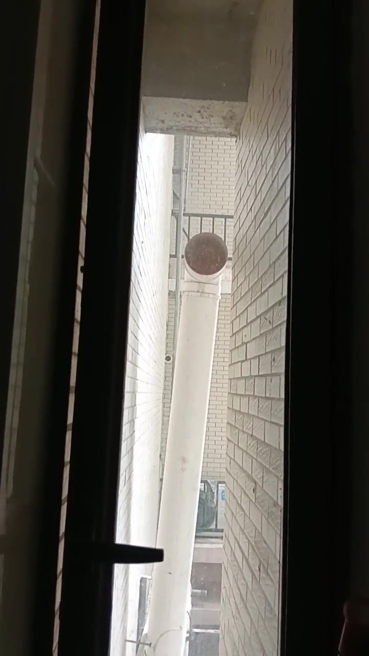 哪个人才设计的油烟口对着别人厕所！