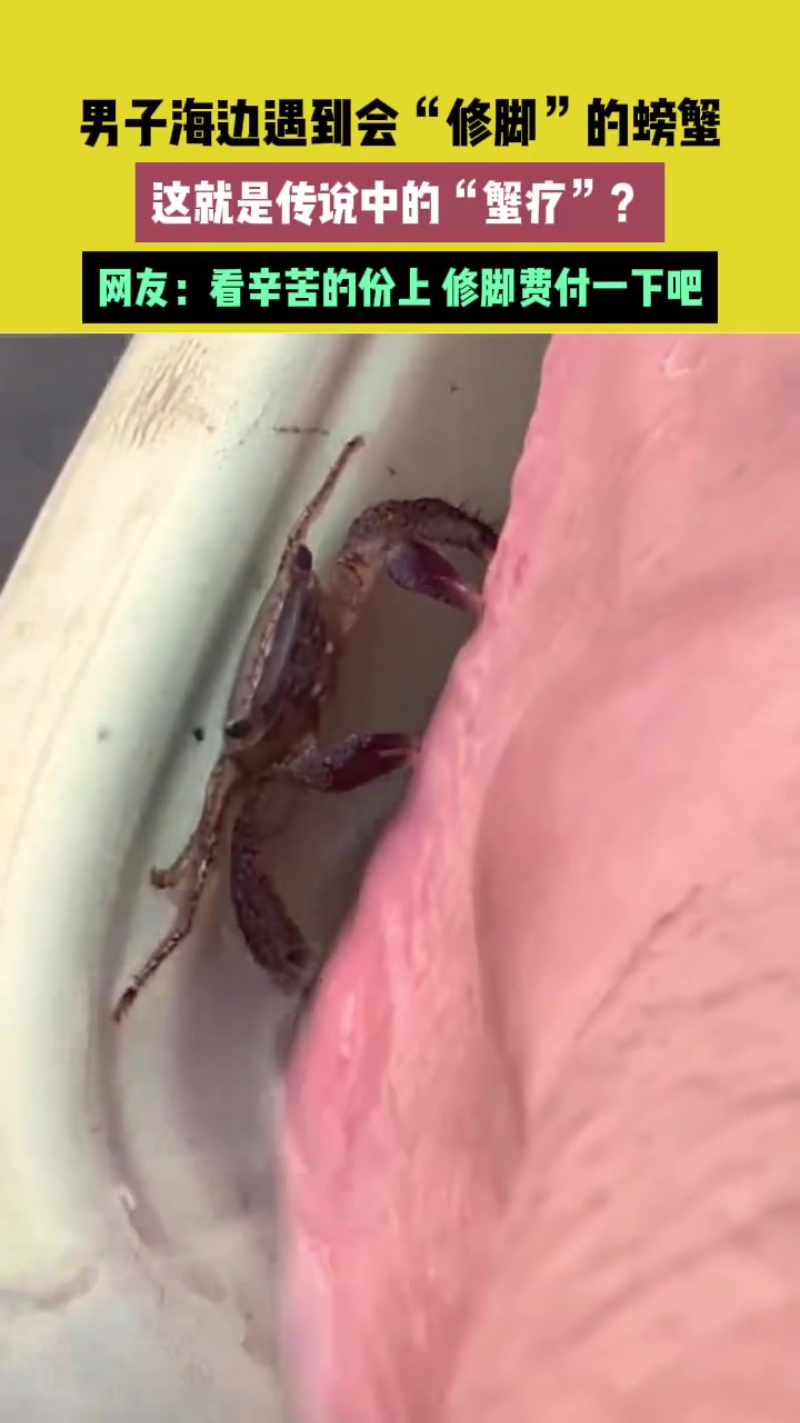 爱吃生腌的老表有福了