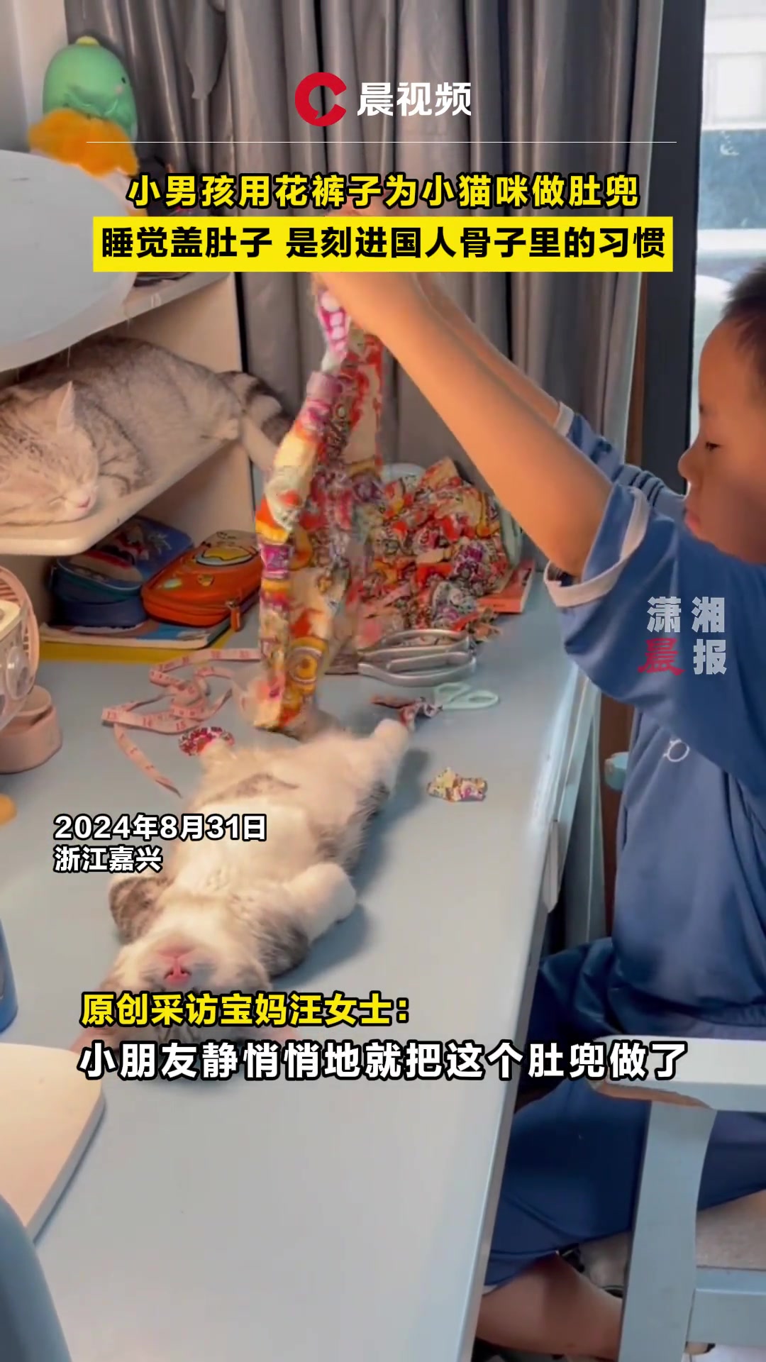 男孩用花裤子为小猫咪做肚兜，睡觉盖肚子是刻进国人骨子里的习惯