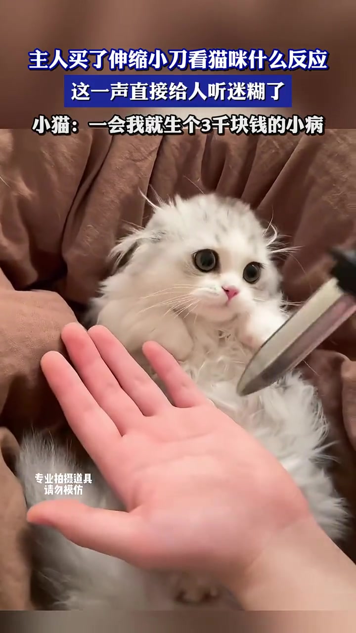 可爱吧，行走的毛毛怪