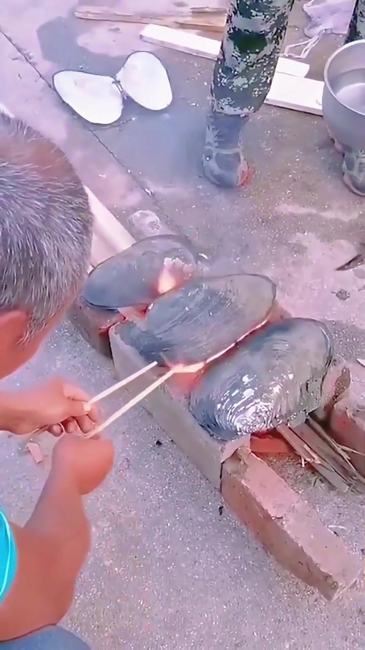 保护我的壳成了煮熟我的锅