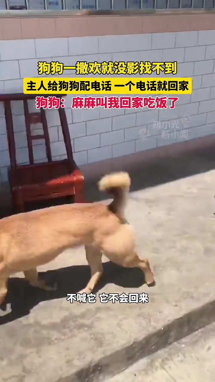 它又不上班多玩一会嘛