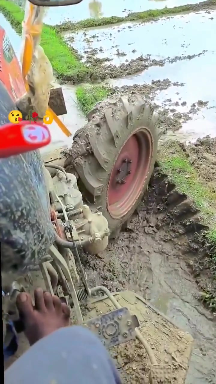 嘿，没看到一条鳝鱼