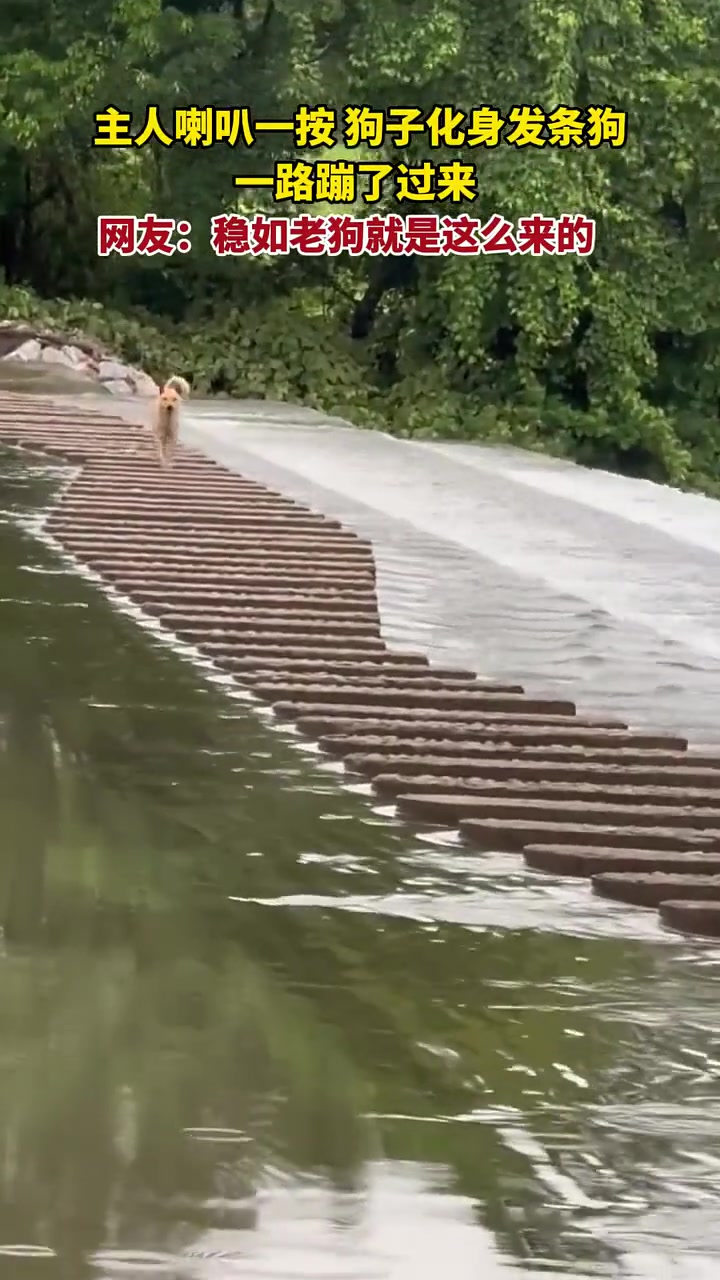 它换了几个跑姿