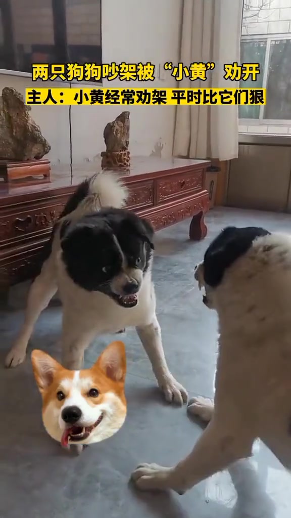 听打快板不，这里有