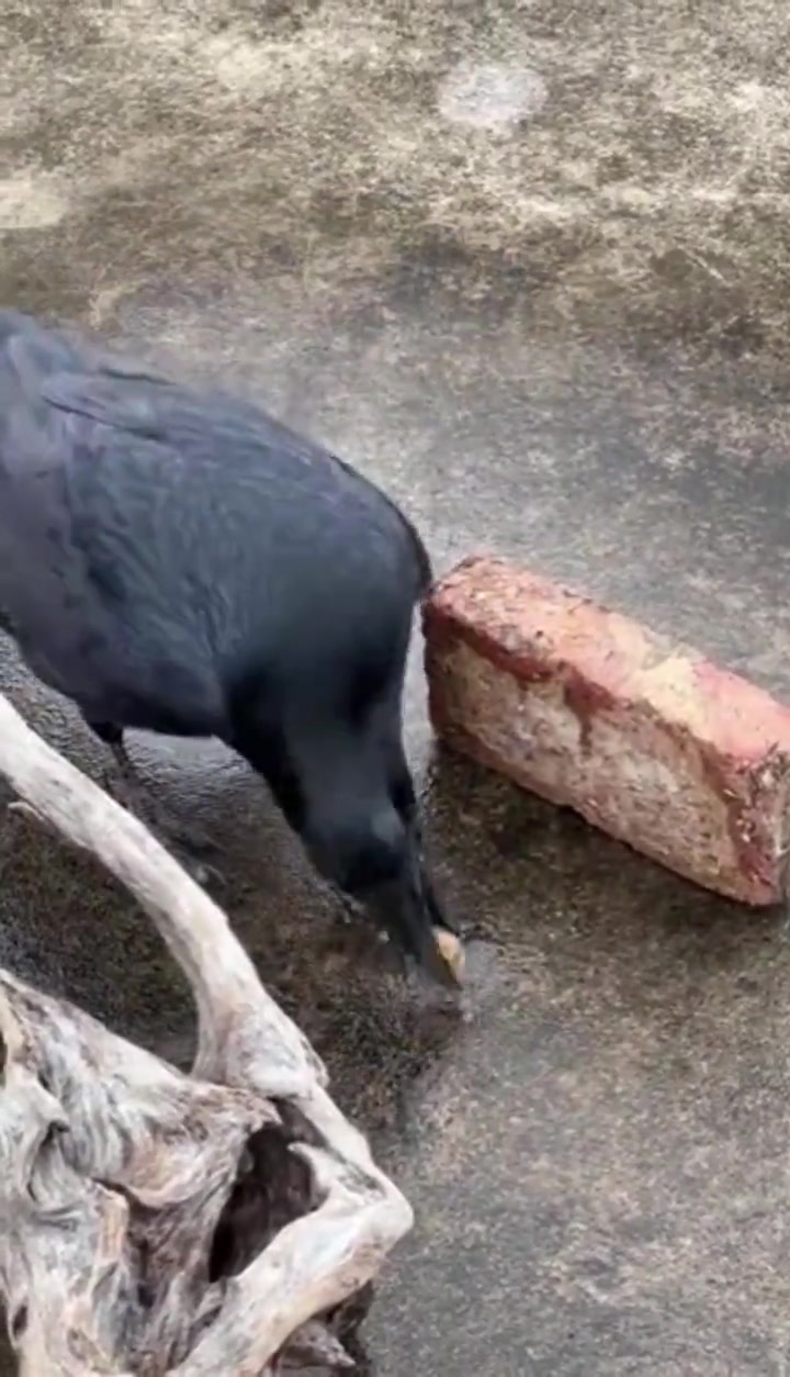 只要思想不滑坡，困难总能碰一窝