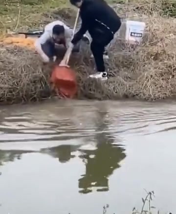 小鱼放流，大鱼放油