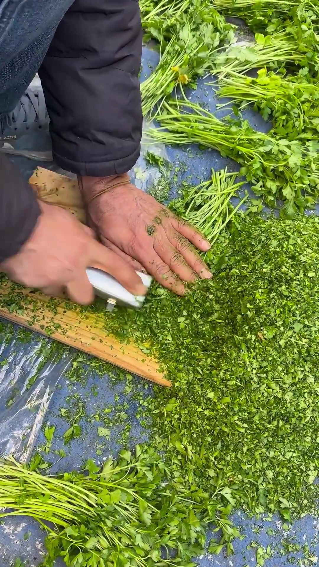 直接磨成粉末这效率提升了300%啊！