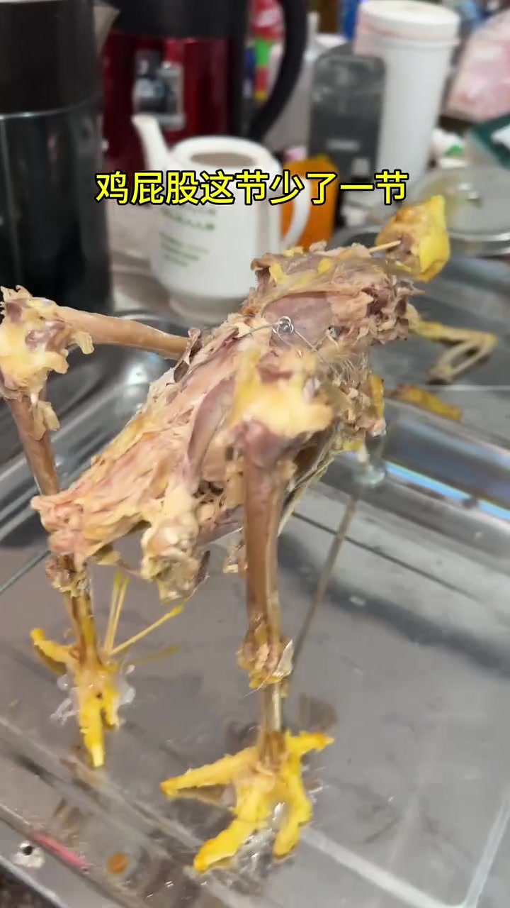 为了确认商家有没偷工减料，网友竟然复原了整只鸡