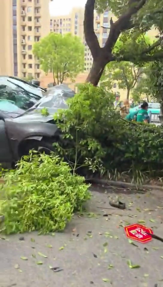 这车是怎么开的...撞成这样...