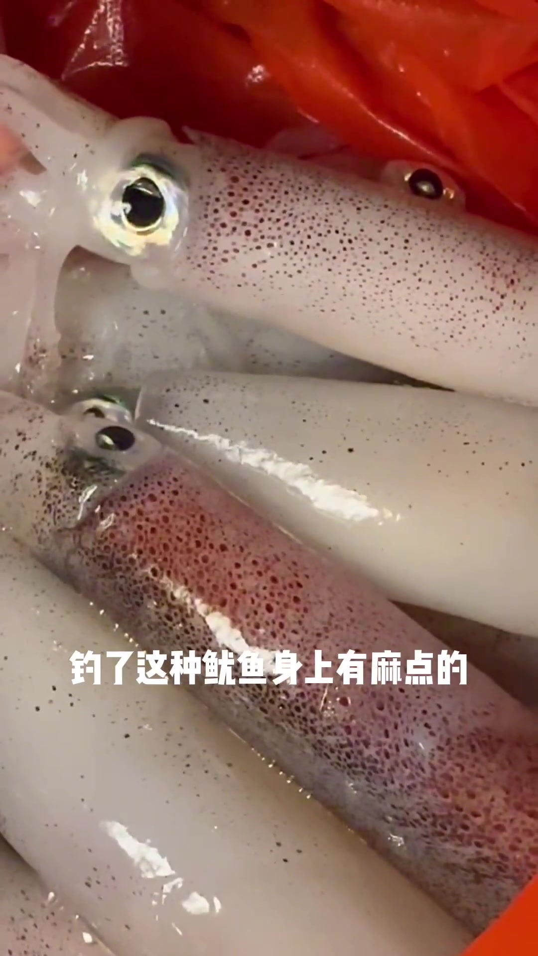 差点信了！下次再遇到这种生物最好邮寄给我！我来为民除害！