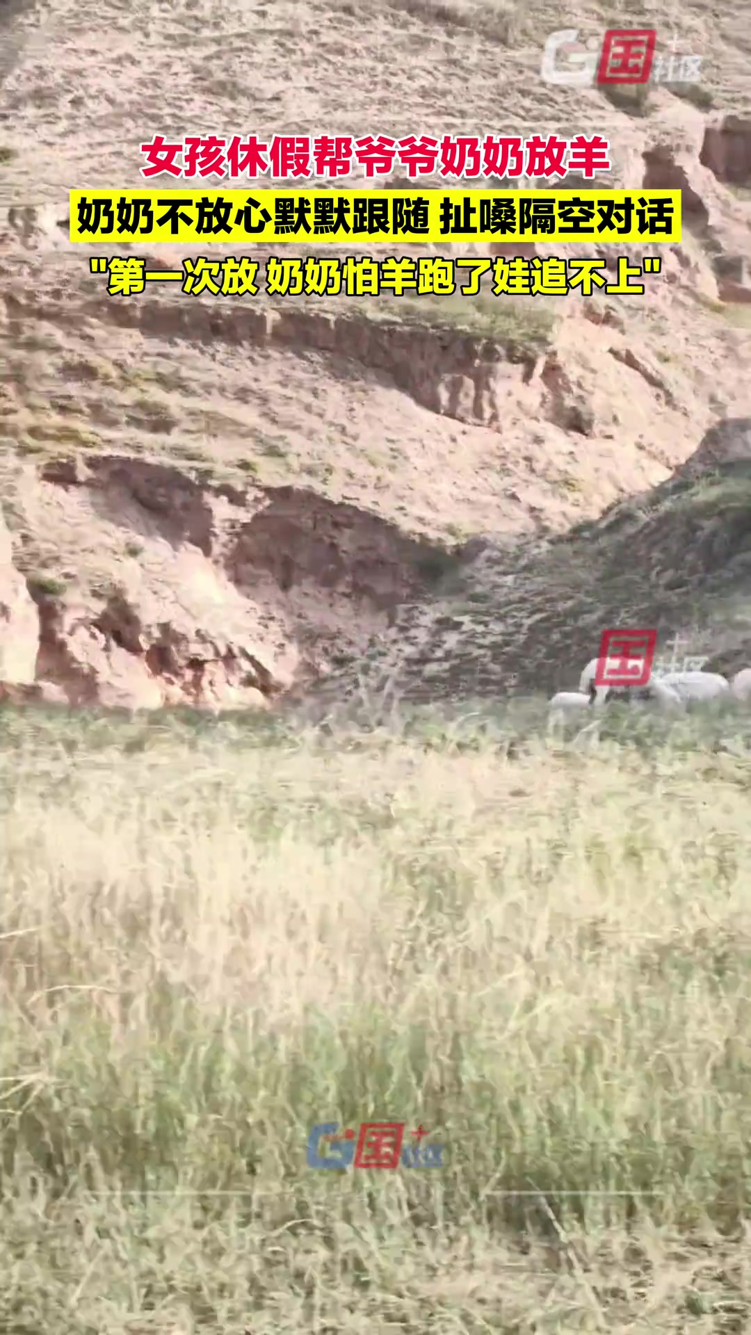 女孩休假帮爷爷奶奶放羊，奶奶不放心默默跟随扯嗓隔空对话