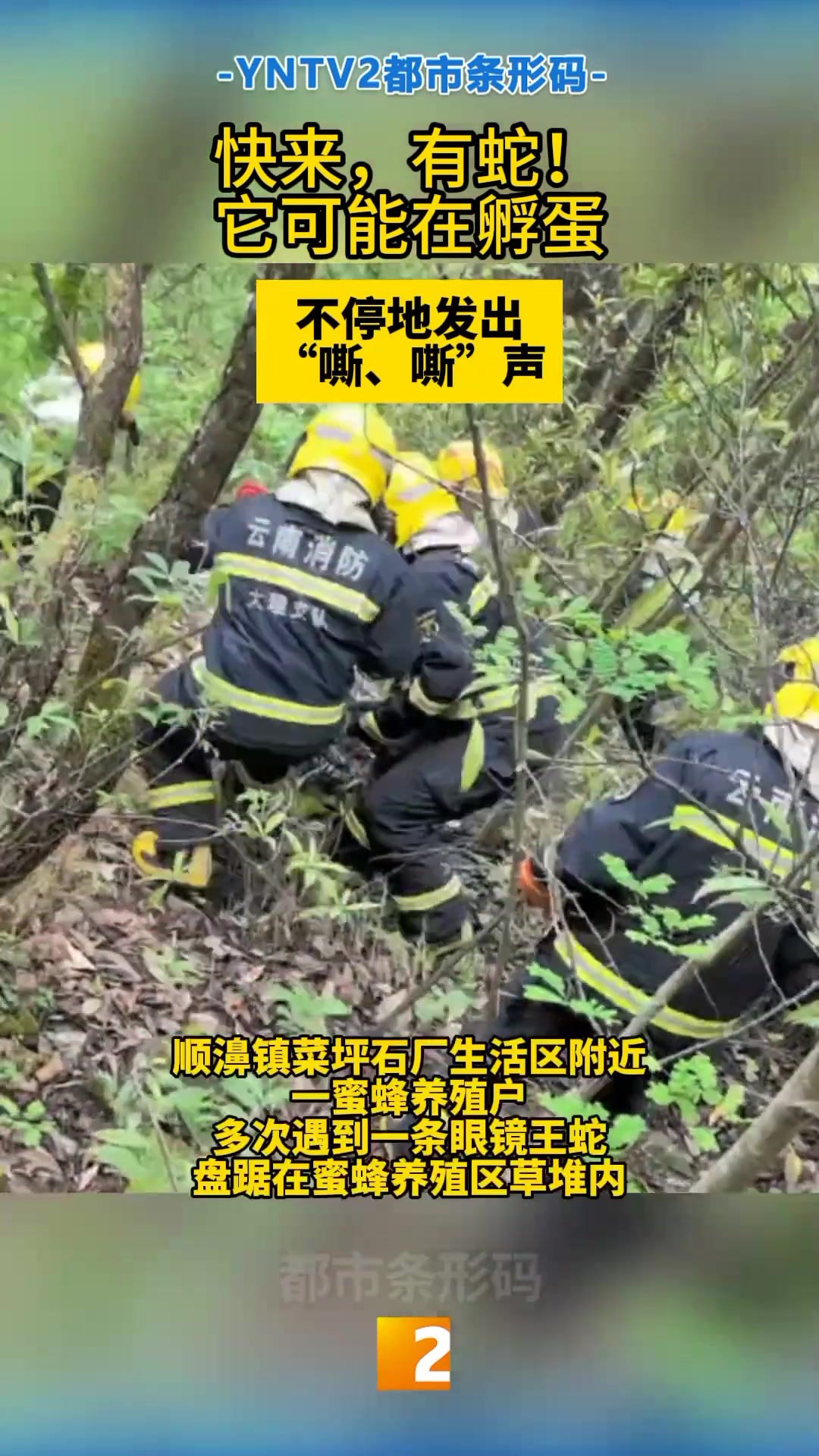 在家养孩子时被灭门！