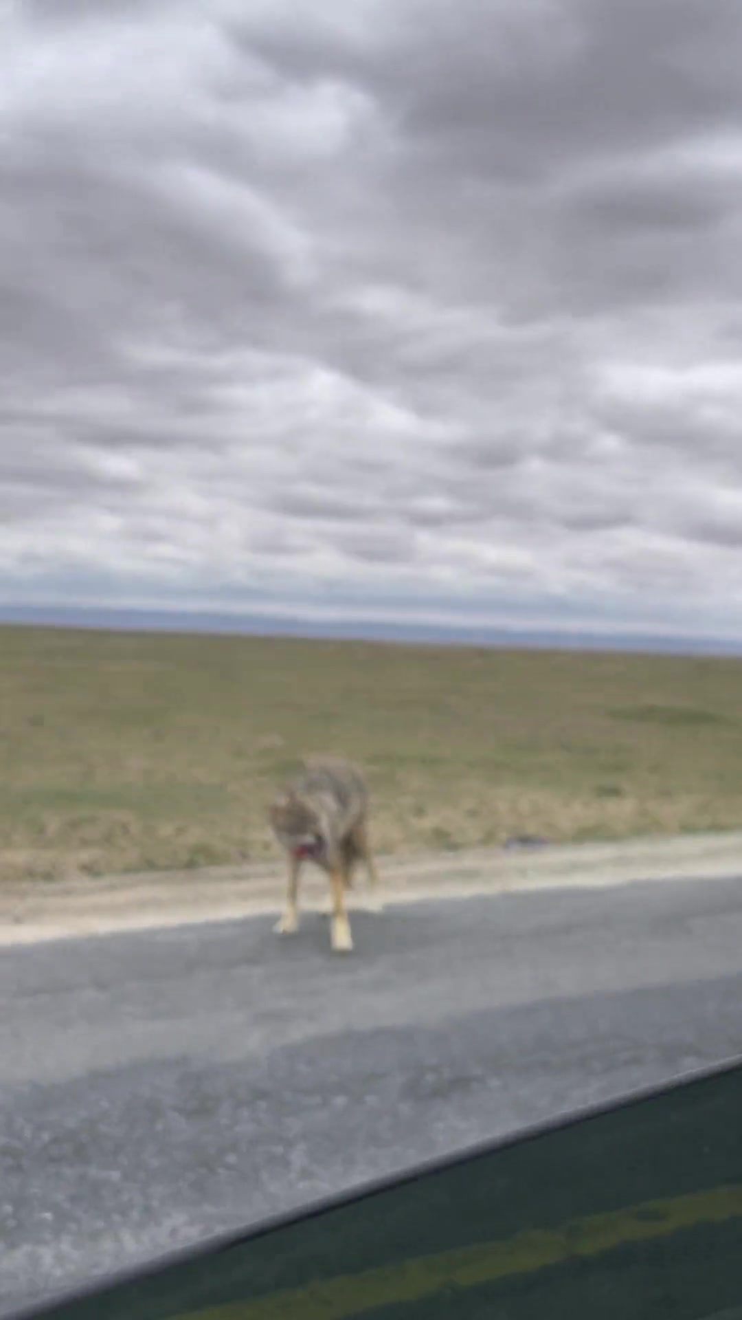 遇见大网红了！长达十秒的视频，喊了七次拍照，只有一秒对上焦！