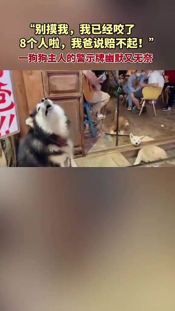 别摸我，我已经咬了8个人啦，我爸说赔不起！