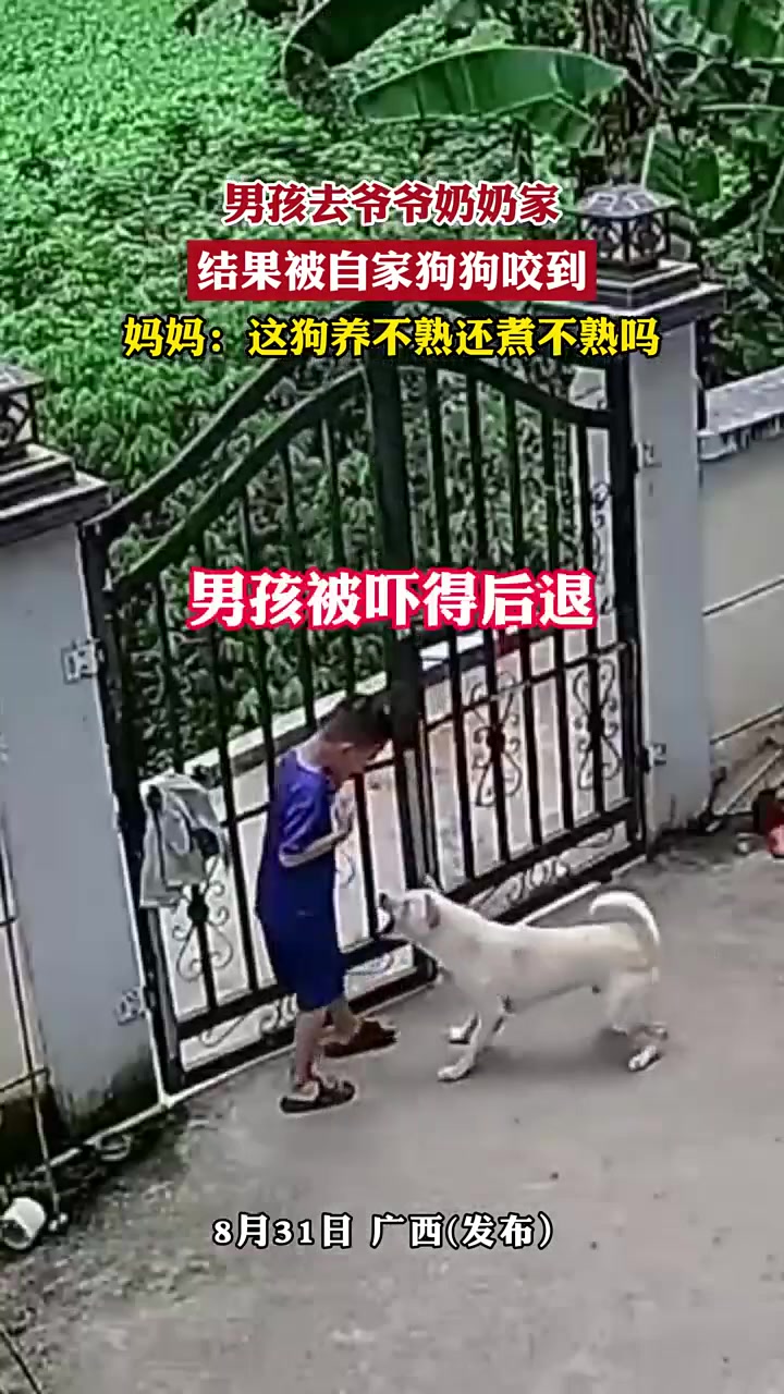 男孩去爷爷奶奶家，结果被自家狗狗看门咬到