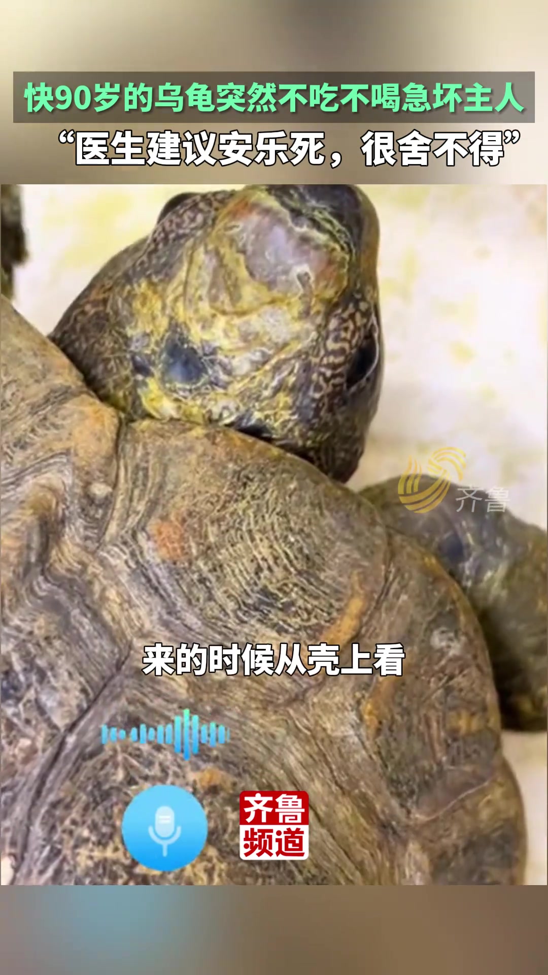 近90岁的乌龟突然绝食，让主人焦急万分，希望能有专家来救助它！