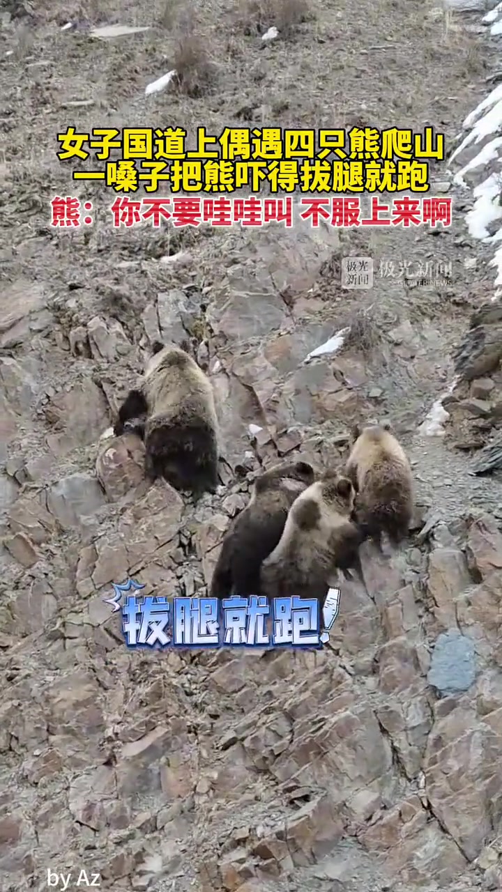 第一次见到人把熊吓跑的！