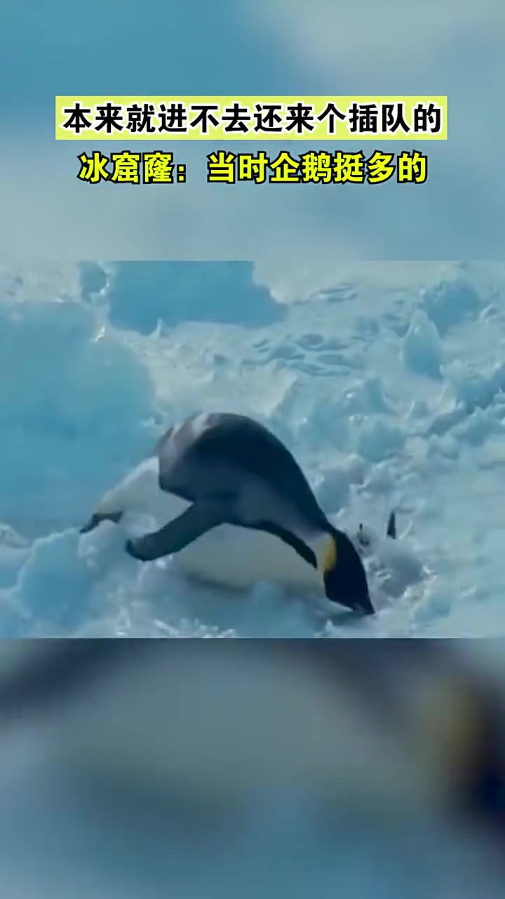 洞就这么大，本来就进不去还插队！