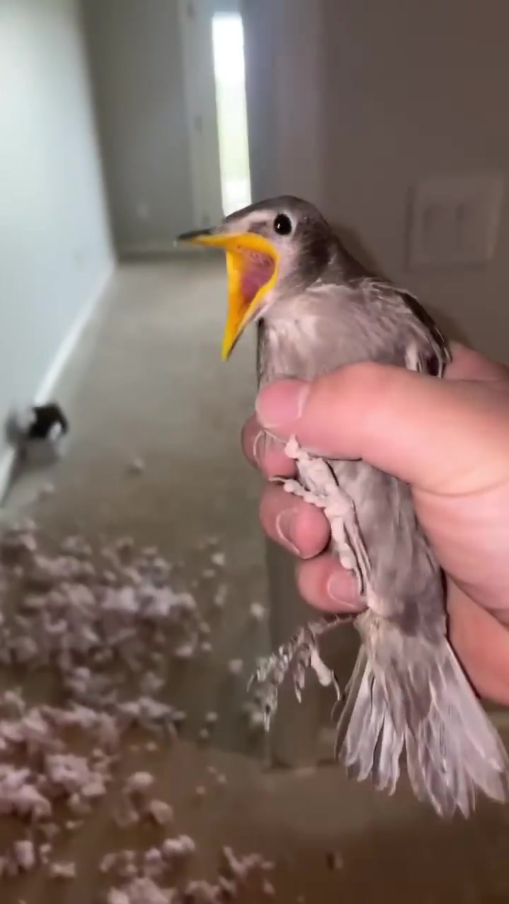 当你在拉屎的时候有人一把握住了你！网友：这真是最脆弱的时候！