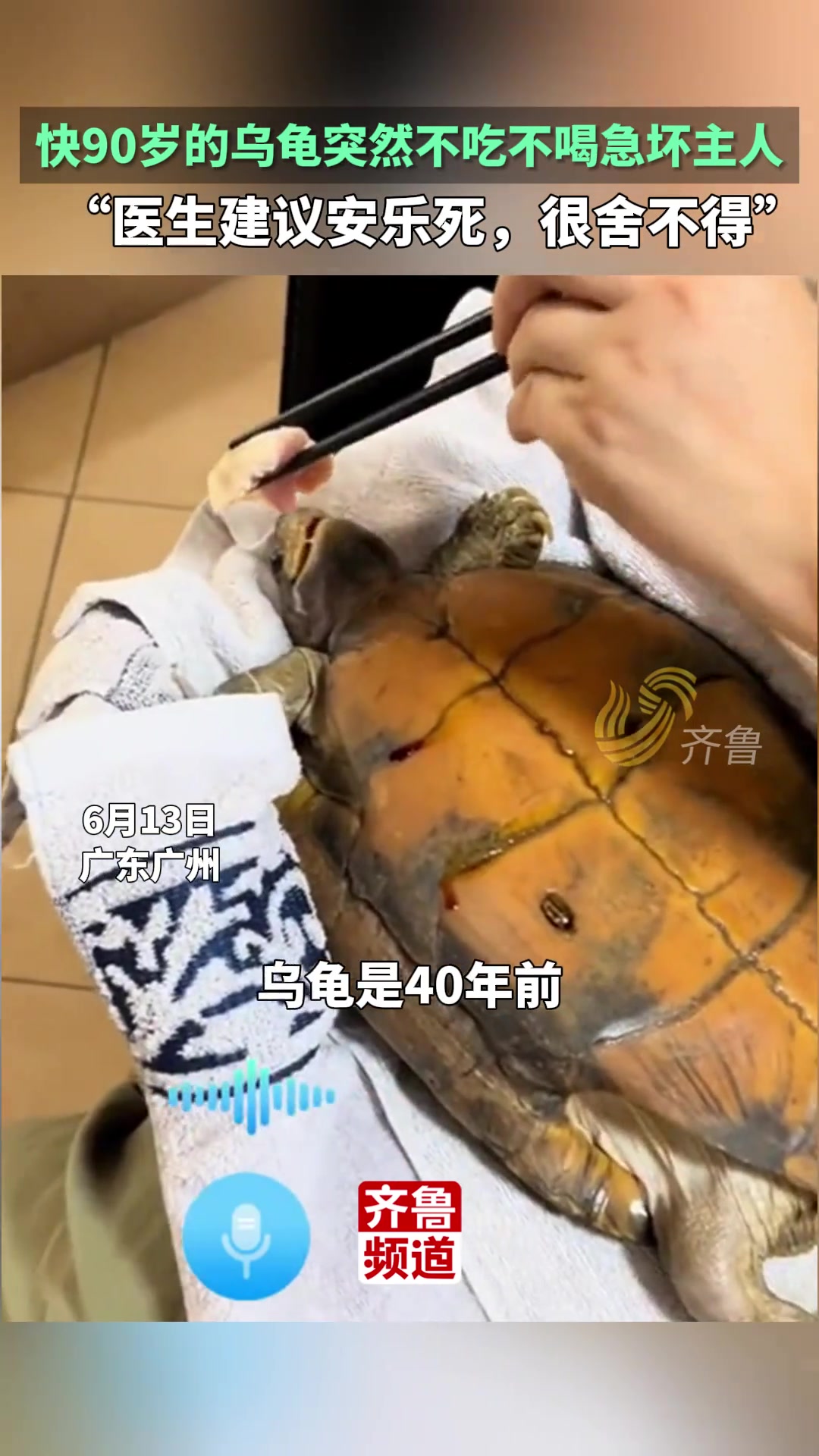 快90岁的乌龟不吃不喝急坏主人