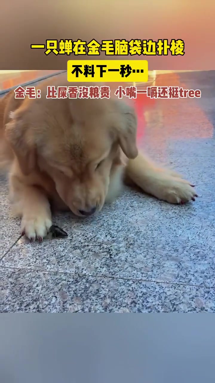 狗子：嗯自己送上门那我不客气了