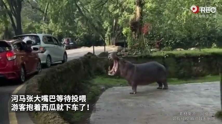 怎么还有个女生在配音啊