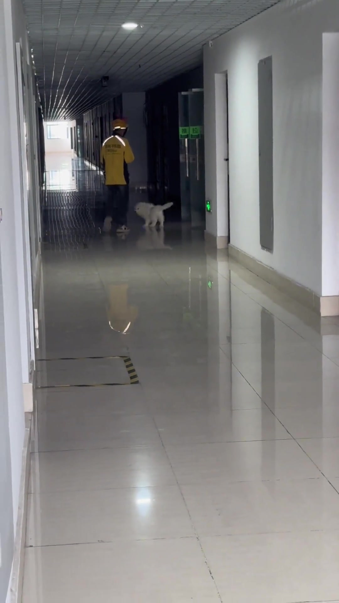 别嘬了，听都不听你的！