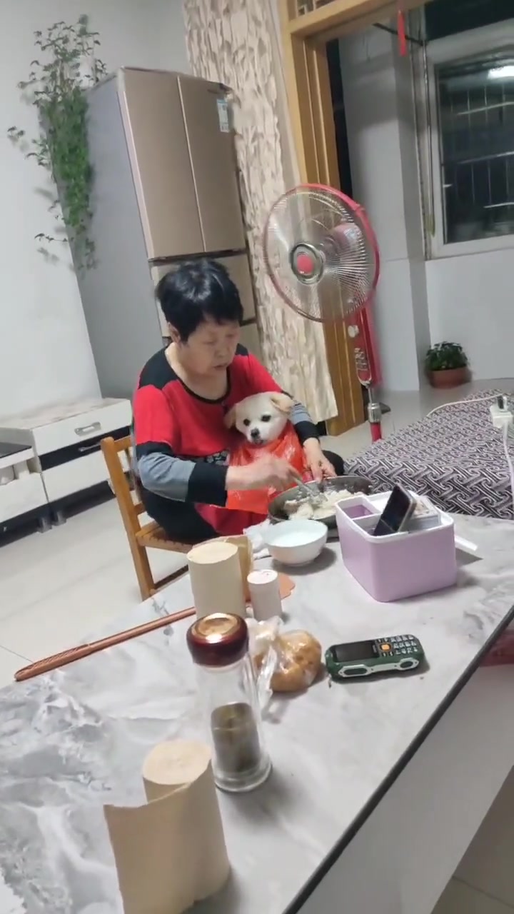 狗子都有压力了，吃饭对他来说已经不是快乐的事了！