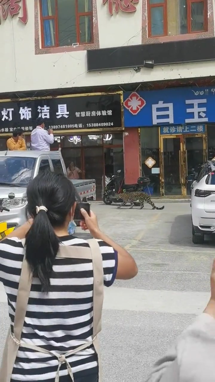 吃瓜群众的胆子是真大