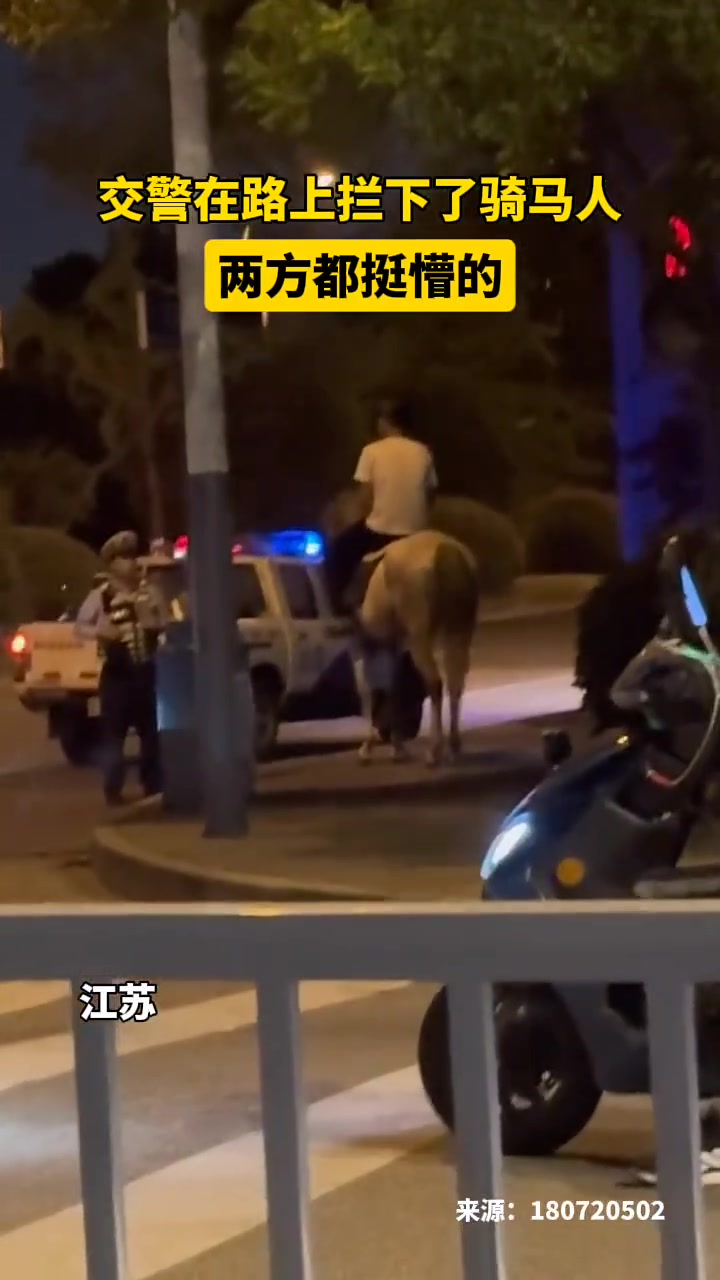 马路骑马该怎么算双方都挺懵的！