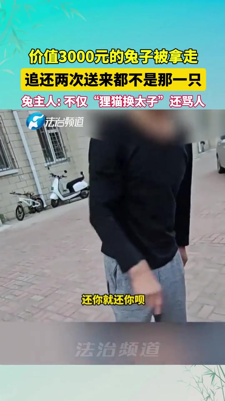 3千元的兔子被大爷拿走兔主人索要却两次遭遇“狸猫换太子”